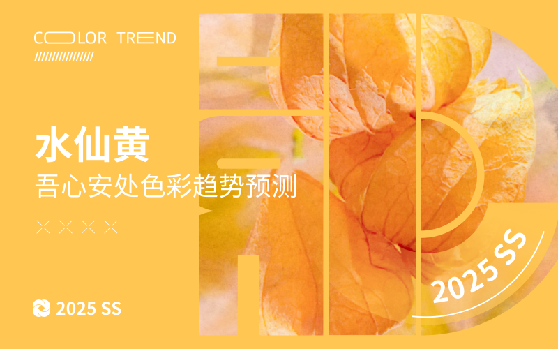 水仙黄--2025春夏主题吾心安处色彩趋势预测